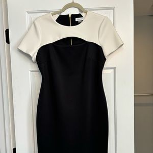 Calvin Klein black scuba dress with White top.
